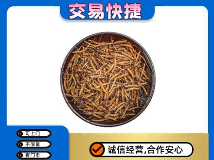 梧州市长洲回收散虫草