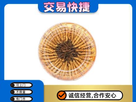 梧州市长洲回收虫草礼盒